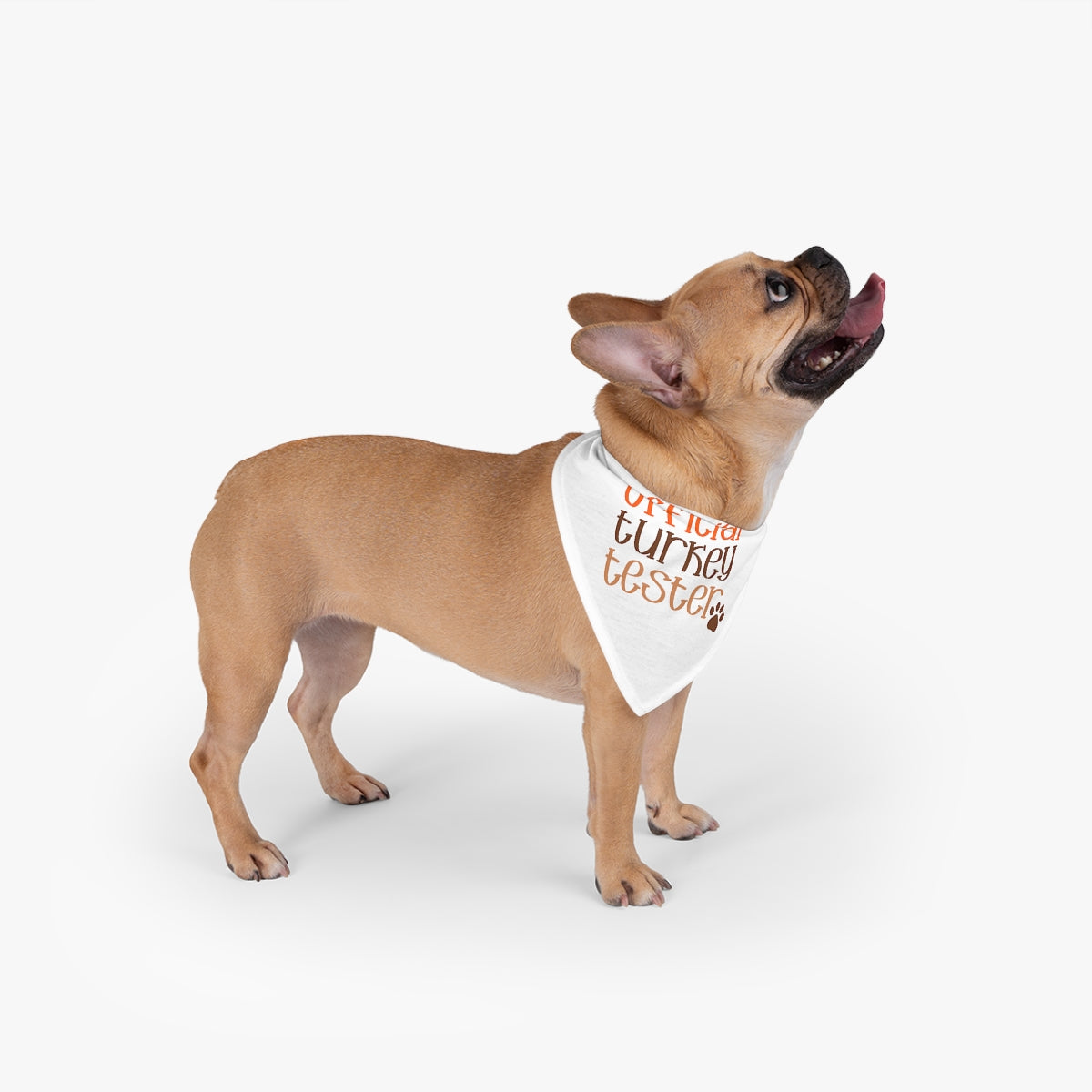 Turkey Tester Pet Bandana