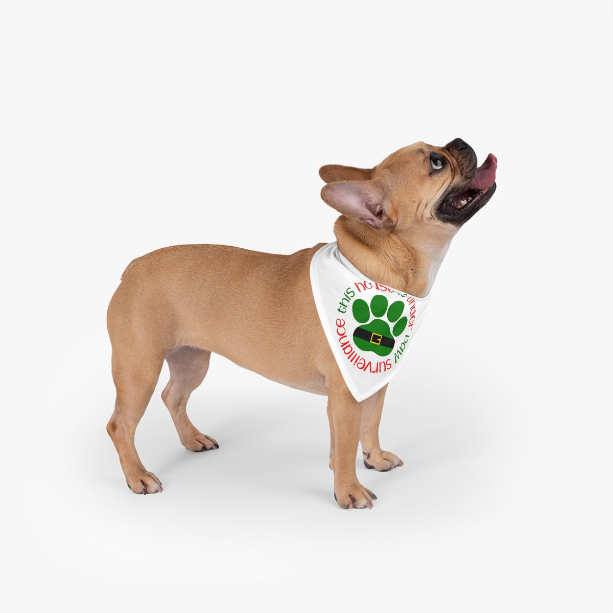 Paw Surveillance Pet Bandana