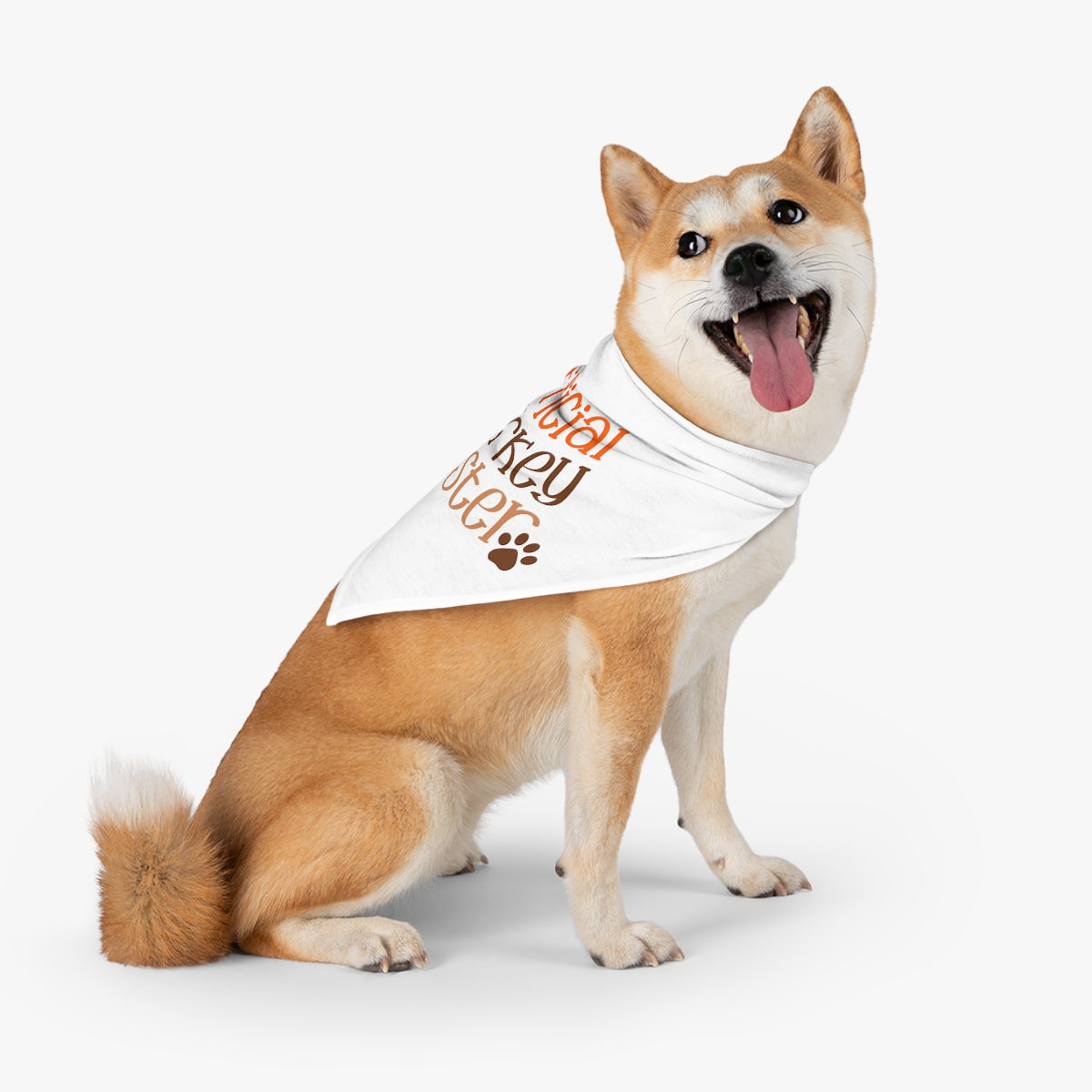 Turkey Tester Pet Bandana